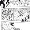 Fairy Tail tome 22
