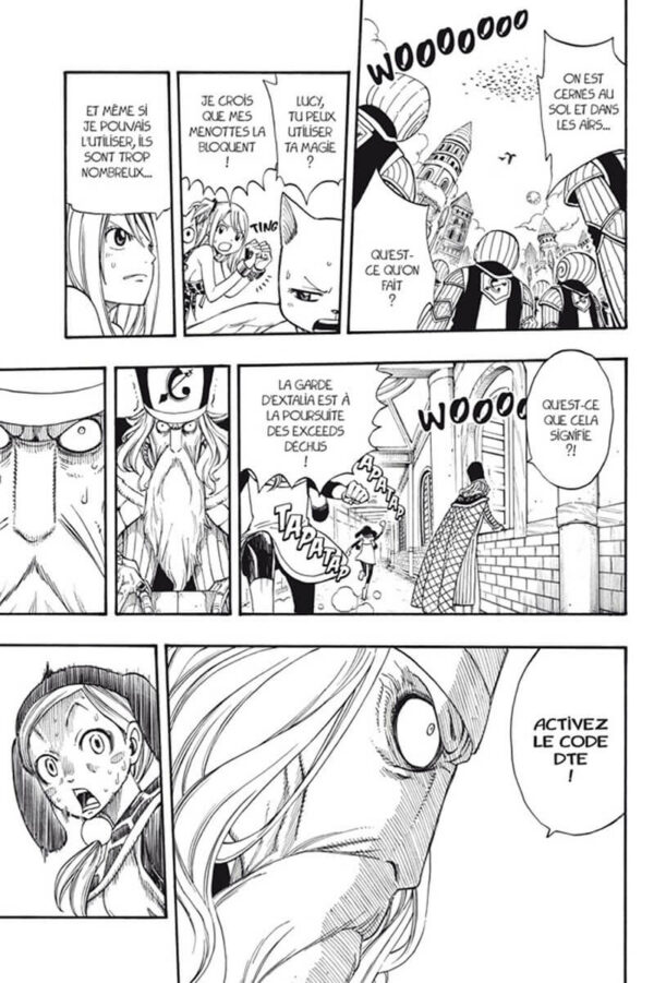 Fairy Tail tome 22