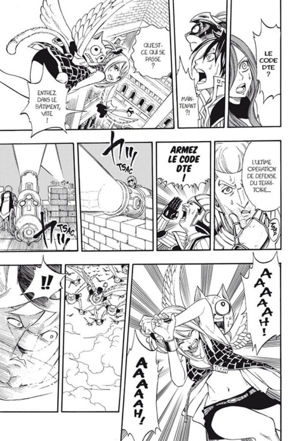 Fairy Tail tome 22