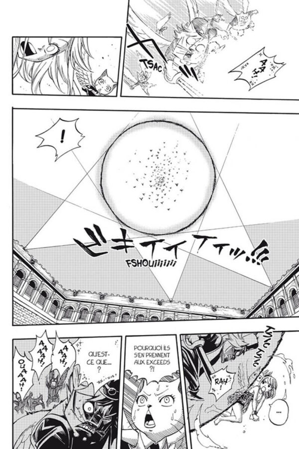 Fairy Tail tome 22