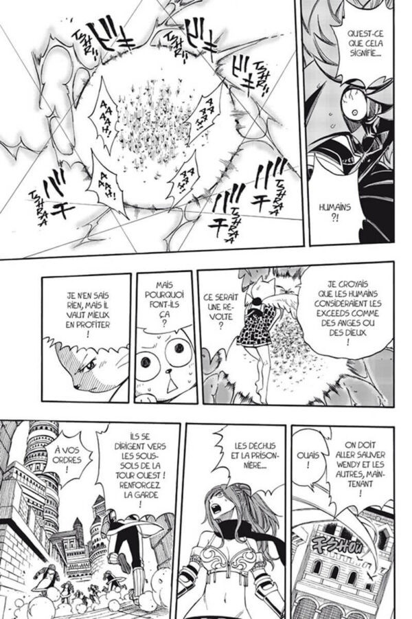 Fairy Tail tome 22