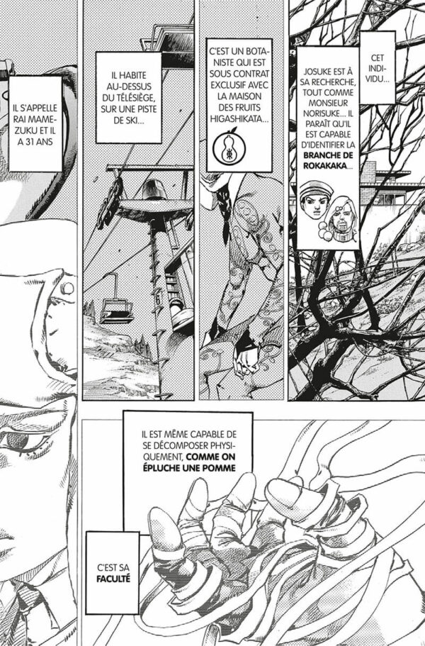 Jojo's Jojolion tome 17