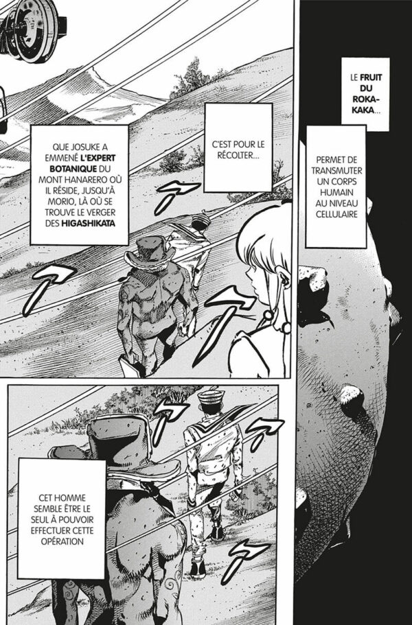 Jojo's Jojolion tome 18