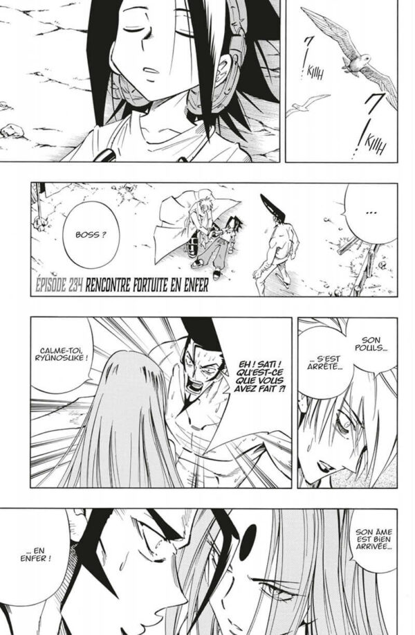 shaman king star edition tome 14-2 Shaman King Star Edition tome 14 - image 2
