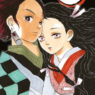Manga Demon Slayer tome 01 Edition Collector