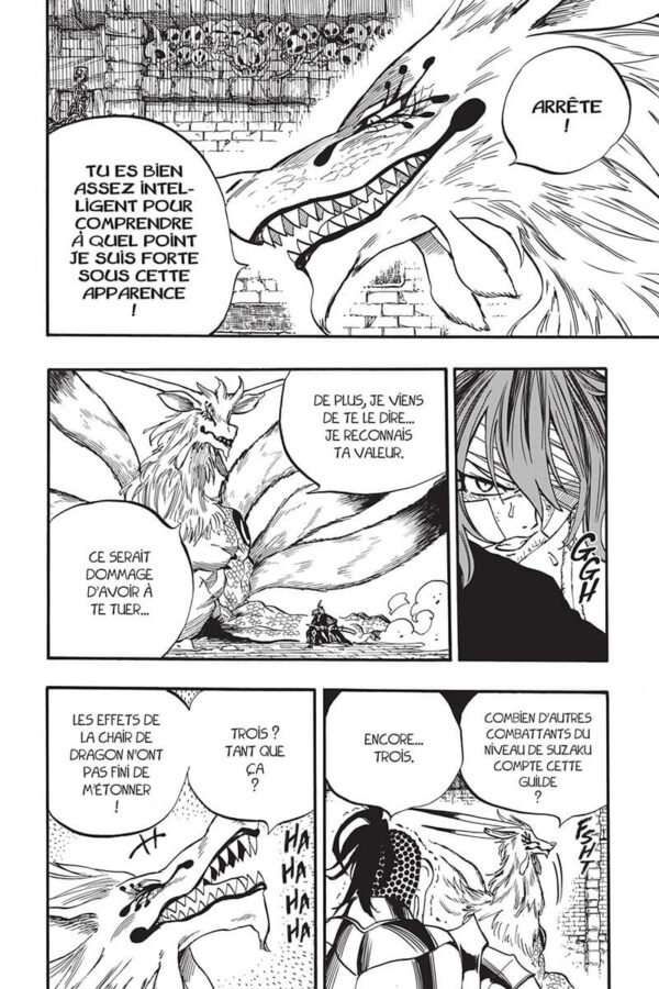 Fairy Tail 100 Years Quest tome 11-4 Fairy Tail 100 Years Quest tome 11