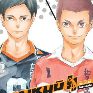 Manga Haikyu !! Les As du Volley tome 14