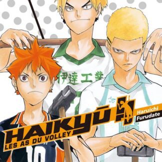 Manga Haikyu !! Les As du Volley tome 15