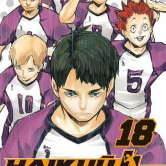 Manga Haikyu !! Les As du Volley tome 18