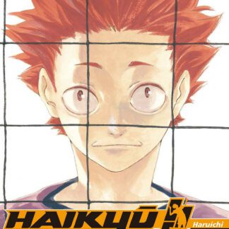 Manga Haikyu !! Les As du Volley tome 20