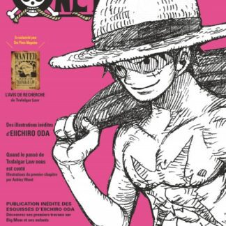One Piece Magazine tome 04