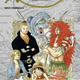 Manga One Piece tome 31