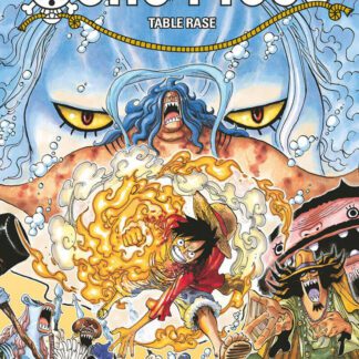 Manga One Piece tome 65