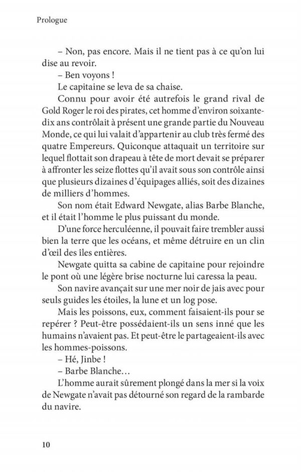 Roman One Piece Ace Partie 2
