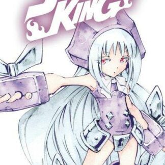 Manga Shaman King Star Edition tome 16