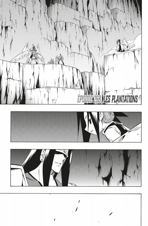Shaman King Star Edition tome 16-2 Shaman King Star Edition tome 16 - image 2
