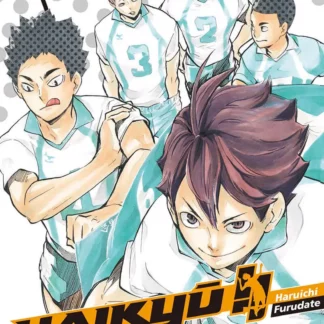 Manga Haikyu Les As du Volley tome 17