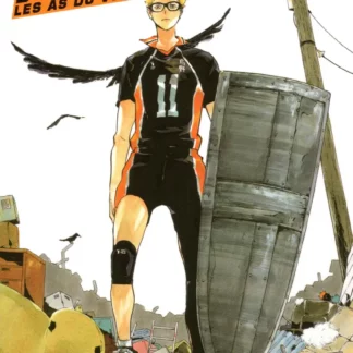 Manga Haikyu Les As du Volley tome 19