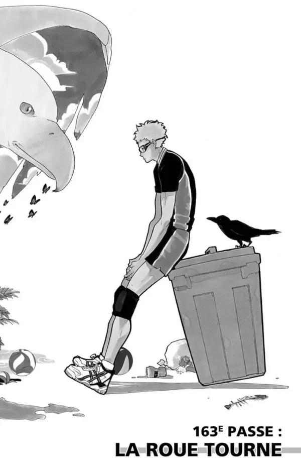 Haikyu !! Les As du Volley tome 19