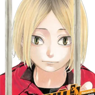 Manga Haikyu Les As du Volley tome 35