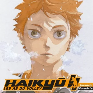 Manga Haikyu Les As du Volley tome 42