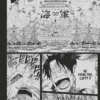 Roman One Piece Histoires de l'équipage