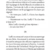 Roman One Piece Histoires de l'équipage