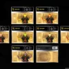 Golden Ticket Assassination Classroom - Collection 1 Golden Ticket Cartoon Kingdom Assassination Classroom - Collection 1 complète