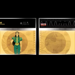 Golden Ticket Cartoon Kingdom Hunter x Hunter - irumi Zoldyck