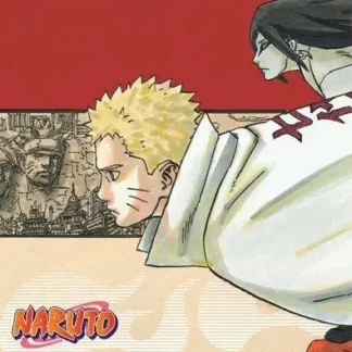 Naruto Roman Le Septieme Hokage et la Spirale du Destin