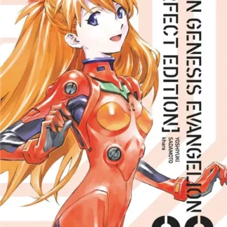 Manga Neon Genesis Evangelion tome 3