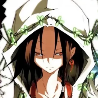 Shaman King 0