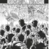 Berserk tome 31 1-4 Berserk tome 31