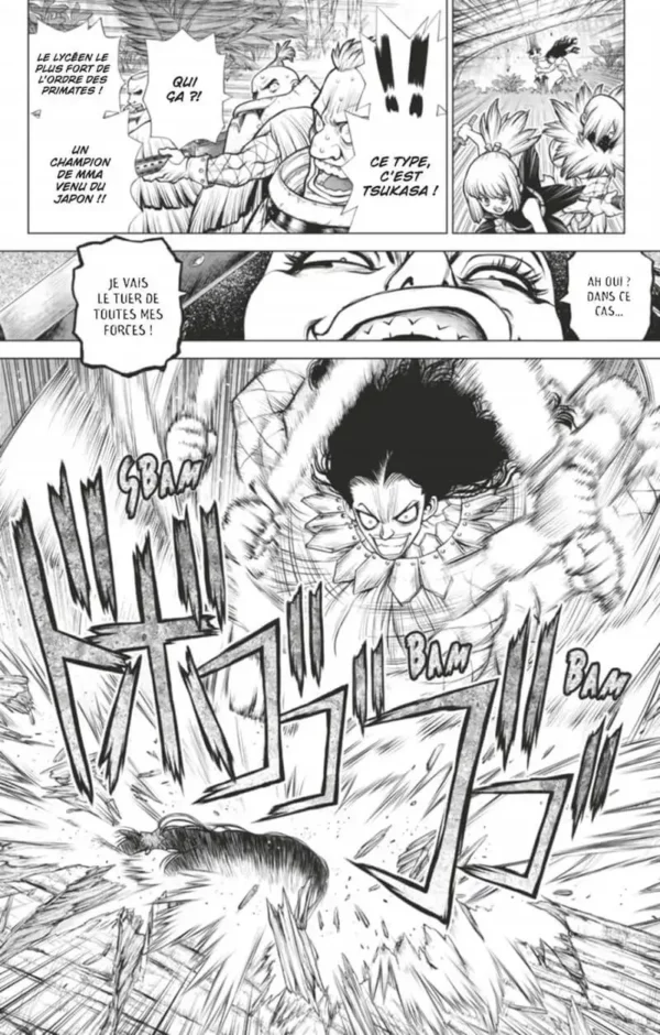 Dr Stone tome 22 1-7 Dr. Stone tome 22