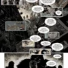 Nottingham tome 03 – Robin