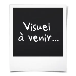 Polaroïd Visuel à Venir, pour les articles n'ayant pas encore d'image