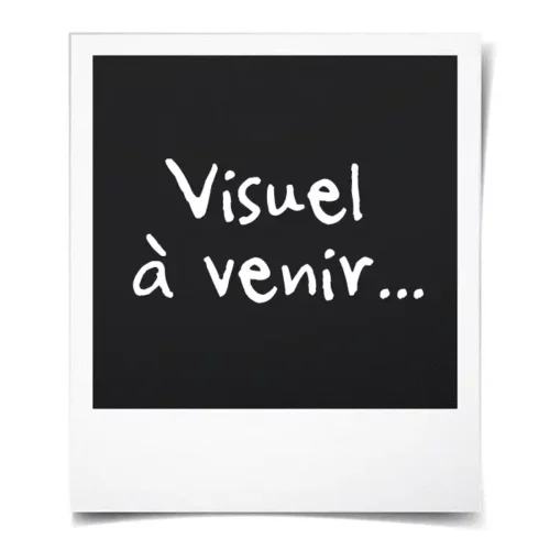 Visuel a venir Polaroïd Visuel à Venir, pour les articles n'ayant pas encore d'image
