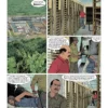 XIII tome 28, Cuba ou tout a commence 1-3 XIII tome 28 – Cuba, où tout a commencé