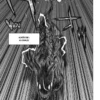 My Hero Academia Vigilante Illegals tome 14 1-3 My Hero Academia Vigilante Illegals tome 14
