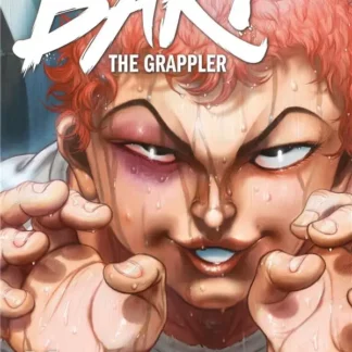 Manga Baki the Grappler tome 11 Perfect Edition