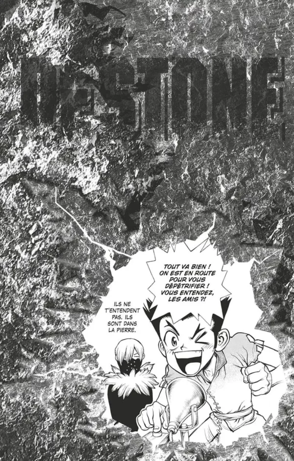 Dr. Stone tome 24