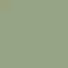 Peinture Citadel Base Ionrach Skin 12 ml - image 2