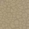Peinture Citadel Technical Agrellan Earth 24 ml - image 2