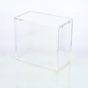 Protection Acrylique Magnétique Display Pokémon Phoenix Shield