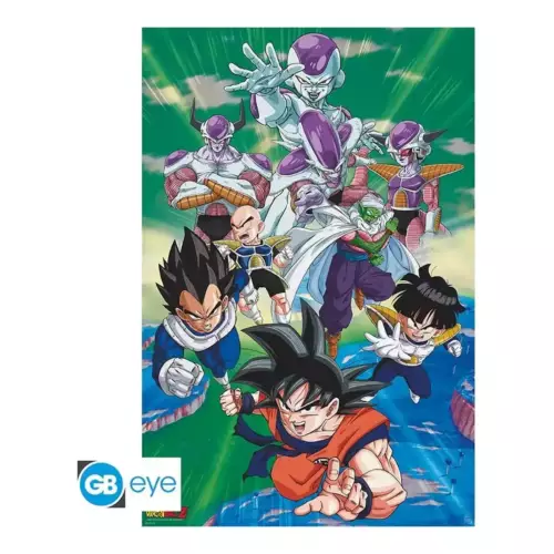 Poster DBZ - Groupe