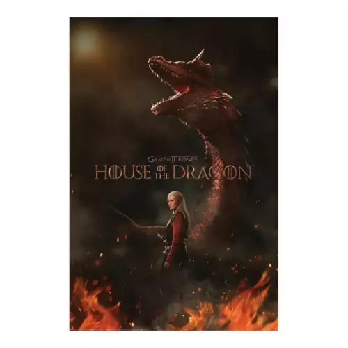 Poster House of the Dragon Affiche 91,5 x 61 cm HOUSE OF THE DRAGON - Poster Maxi 91,5x61 - Affiche