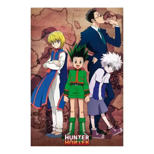 Poster Hunter x Hunter Héros 91,5 x 61 cm HUNTER X HUNTER - Poster - "Héros"- roulé filmé (91.5x61)