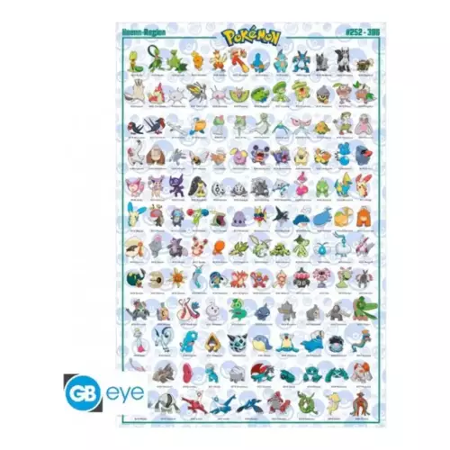 Poster Pokémon Hoenn Français 91,5 x 61 cm Pokémon - Poster Hoenn Français roulé filmé (91.5x61)